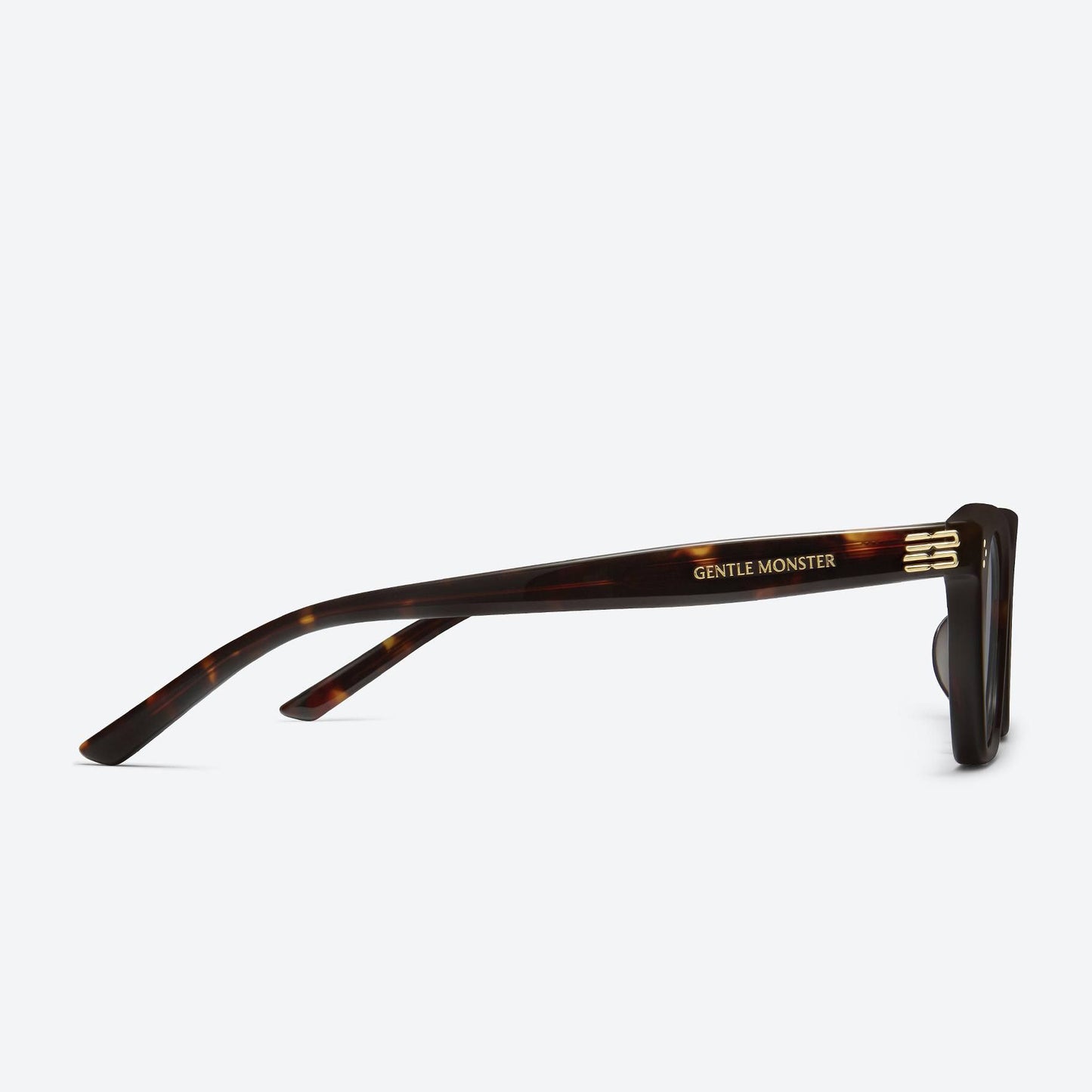 Gisele T1 Tortoise / Black
