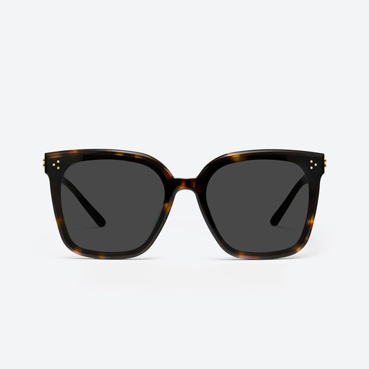 New Her T1 Tortoise / Black