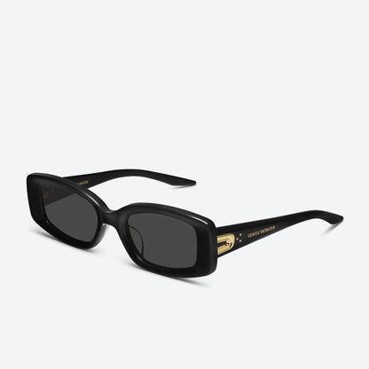 Ash 01 Black / Black