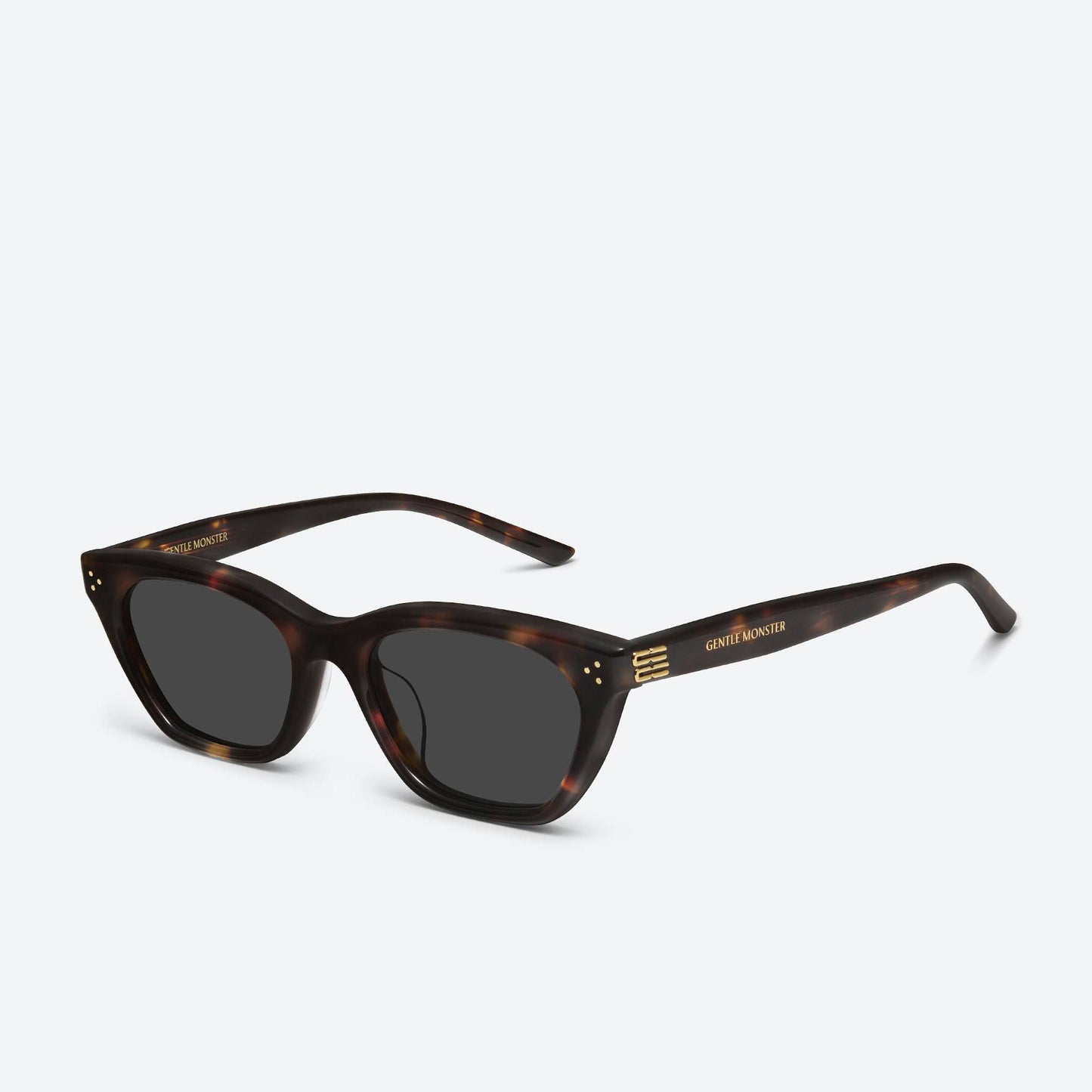 Gisele T1 Tortoise / Black